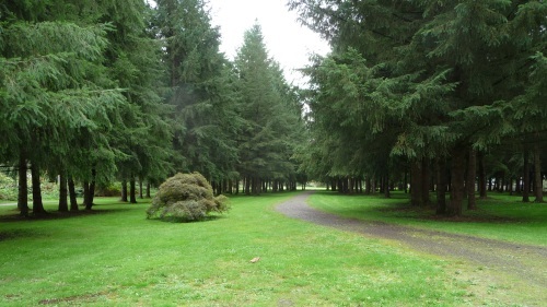 Snoqualmie Trail at Carnation