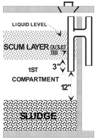Septic sludge and scum diagram