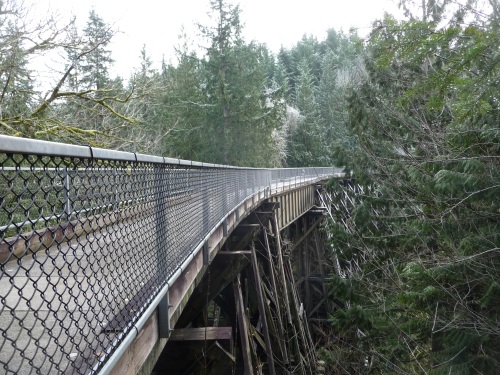 Snoqualmie Trail - Tokul bridge