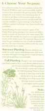 Wild Flower Planting Instructions